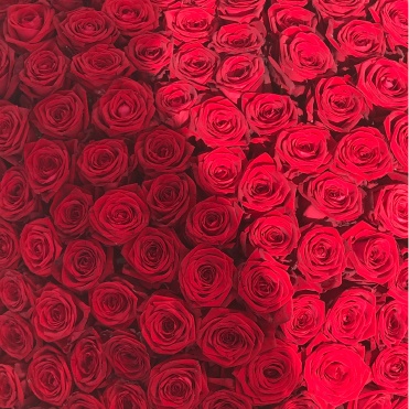 Valentine Flowers Roses